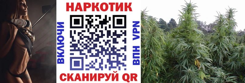 LSD-25 Чишмы