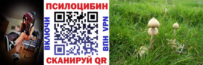 Псилоцибиновые грибы мицелий  Чишмы 